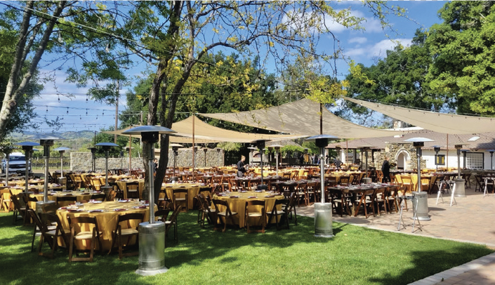 Fruit of the Vine Drive and Dine